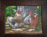 Chickens