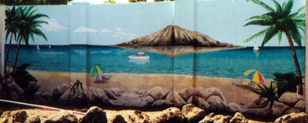 Hawaii backdrop detail_jpg