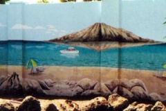 Hawaii backdrop detail_jpg