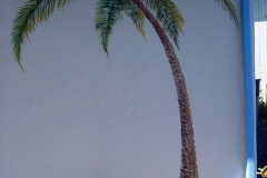 small palm_jpg