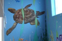 turtle_jpg